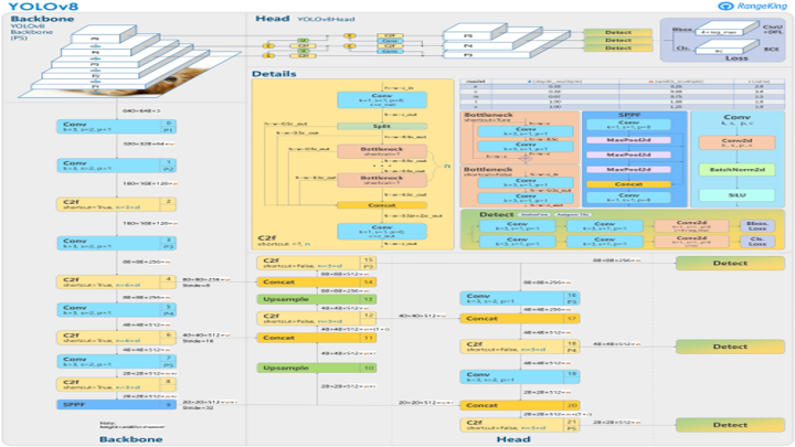 YOLOv8 framework diagram.